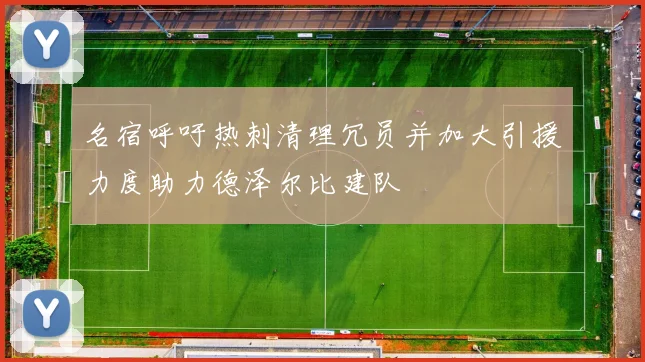 名宿呼吁热刺清理冗员并加大引援力度助力德泽尔比建队